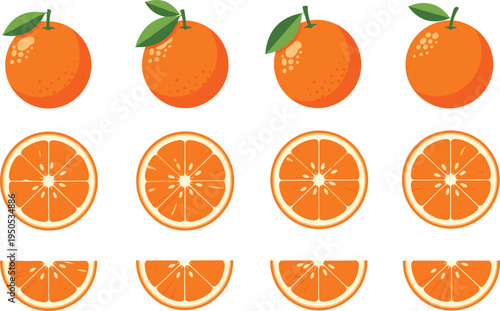 Orange fruit set with whole oranges, round slices and juicy wedges. Fresh citrus illustration collection for juice packaging, grocery design, healthy food and vitamin diet.