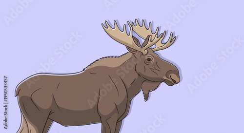 Detailed digital illustration of a majestic male moose with large antlers.
