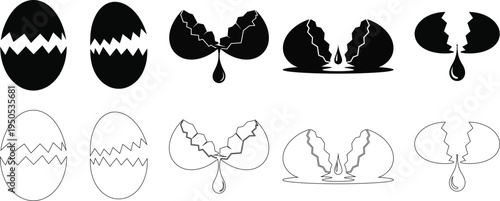 The life cycle of an egg from formation to hatching