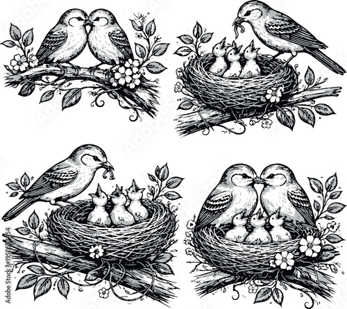 Adobe Illustrator Artwork Bird nest clip art