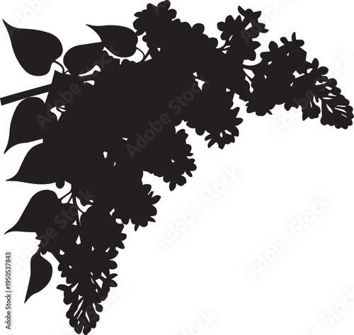 Lilac branch silhouette vector illustration with heart shaped leaves for garden design art