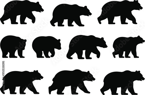 Black bear silhouette set walking poses isolated on white background, wild animal collection flat vector illustration design