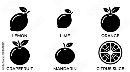 Collection of Citrus Fruit Icons Including Lemon, Lime, Orange, Grapefruit, Mandarin, and Slice