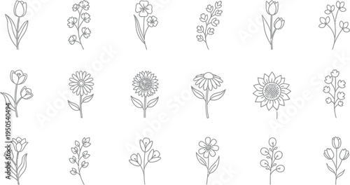 Collection of eighteen simple black and white line art drawings featuring various delicate botanical elements and flowers on white