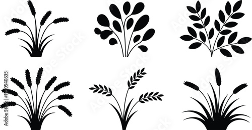 Botanical plant silhouettes vector set, grass wheat and leafy bush collection, black nature foliage elements isolated, flat vector illustration