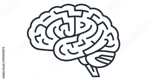 Line drawing of a human brain showcasing complex cortical folds and structure