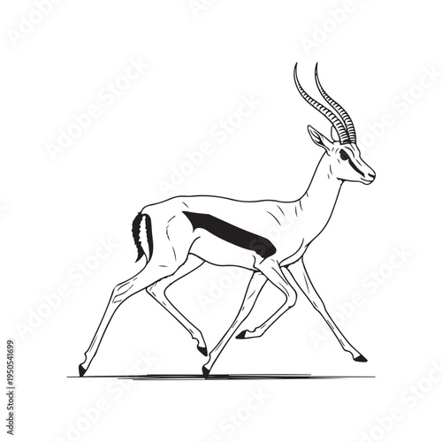 A drawing of an antelope with long horns
