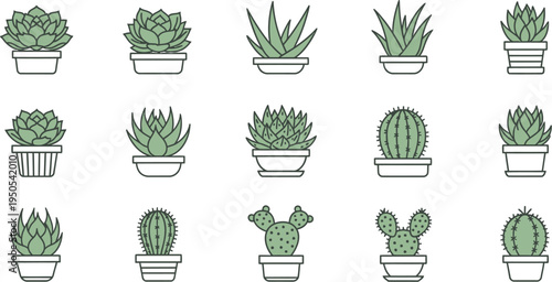 A diverse collection of outline illustrations depicting various potted succulents and cacti, perfect for modern home decor, garden designs, or plant-themed educational resources.