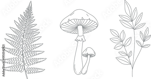 Simple black and white line art illustration featuring a fern frond, two mushrooms, and a small leafy plant branch