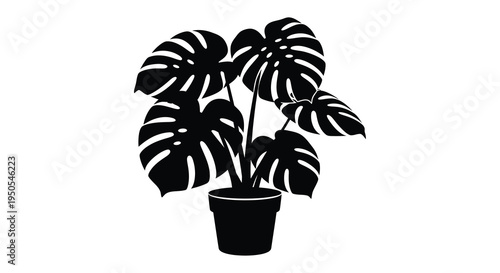 A striking black and white silhouette depicts a monstera deliciosa plant potted in a simple dark container high quality professional detailed