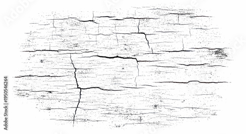 Distressed White Wood Texture with Deep Cracks and Grungy Surface