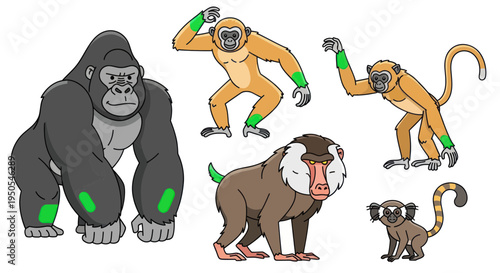 Diverse Primate Collection: Gorilla, Gibbon, Baboon, Monkey, Lemur - Cartoon Style