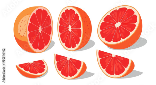 Fresh Grapefruit Slices and Halves, Vibrant Citrus Fruit Illustration