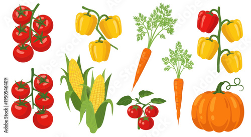 Fresh Vegetables Collection: Tomatoes, Bell Peppers, Corn, Carrots, Pumpkin