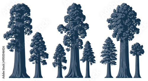 Giant Sequoia Trees Silhouette - Majestic Ancient Forest Collection