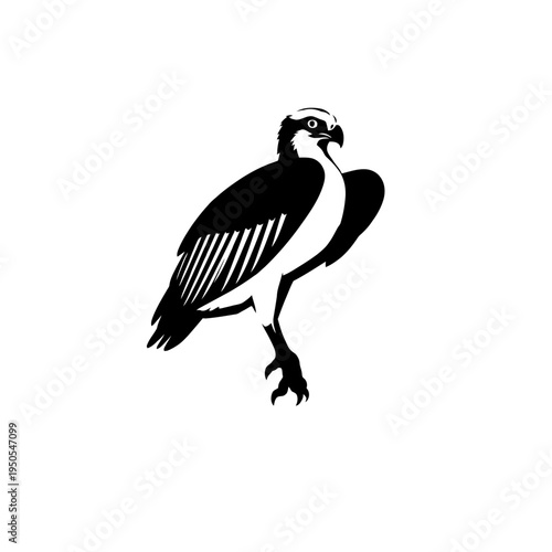 Elegant Osprey Silhouette: A sleek osprey silhouette is isolated, capturing its powerful form and keen gaze against a blank canvas.