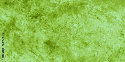 green grass background nature fresh summer leaves closeup texture.