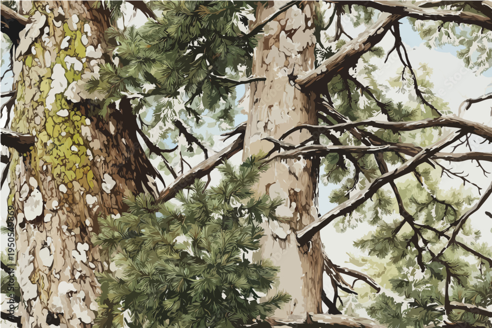 Obraz premium Two pine trees in the forest, a close-up of tree bark. Jungle Camouflage, Vector Illustration, Good for Hunting and outdoor activities.