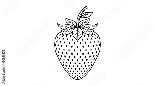 Fresh Strawberry Fruit Closeup Illustration.