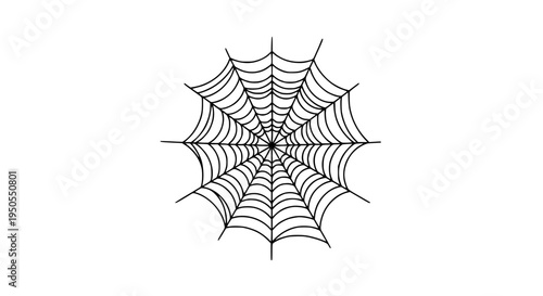 Spider web with intricate black lines and symmetrical pattern on white background featuring spiderweb, illustration,