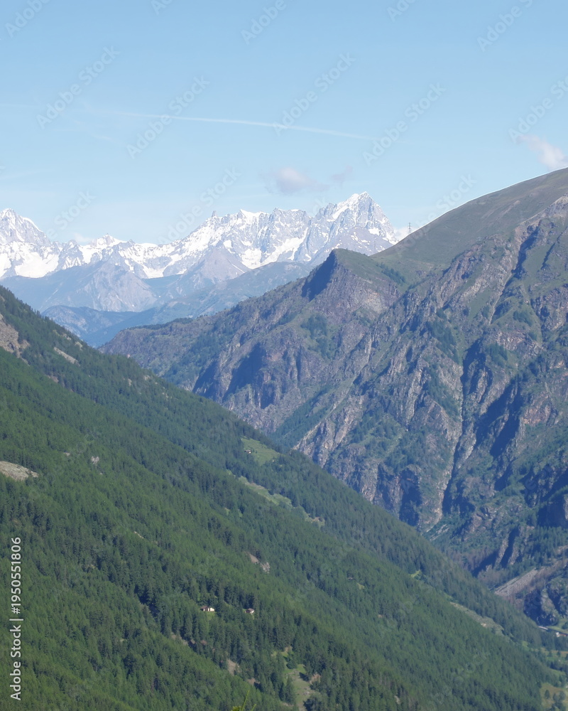 Obraz premium Alpine landscape with green forest valley and snowy mountains