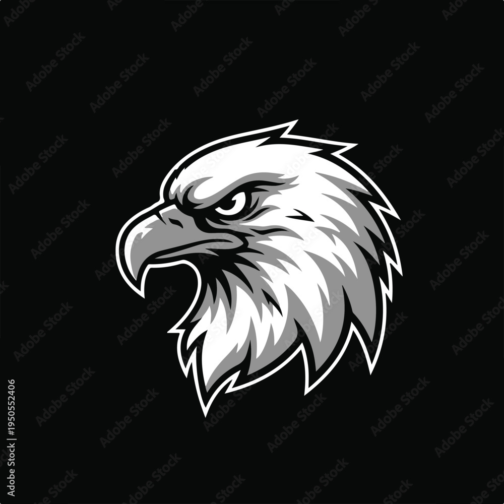 Fototapeta premium Vector eagle head illustration, white and gray on black background