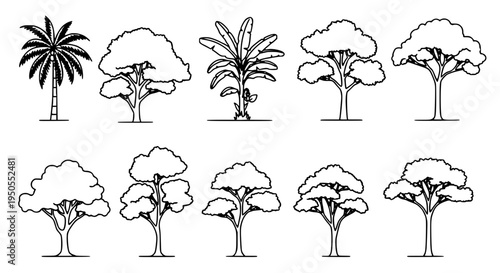 Trees line drawn set with black outlines and various leafy silhouettes on white background featuring tree,
