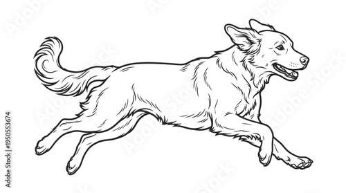 Dog Running Fast on the Ground.