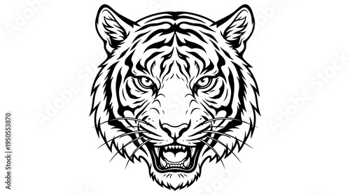 Fierce Tiger Head Close Up Portrait.