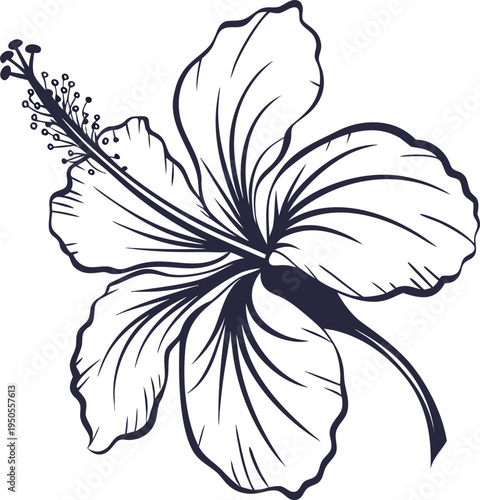 perspective tropical flower silhoutte icon on transparent background