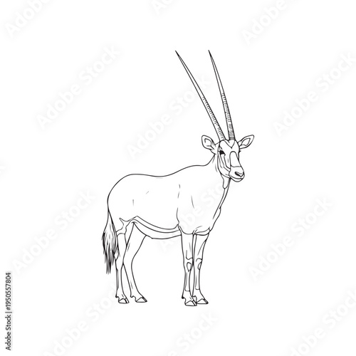 A drawing of an antelope with long horns