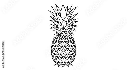 Pineapple Fruit Illustration.