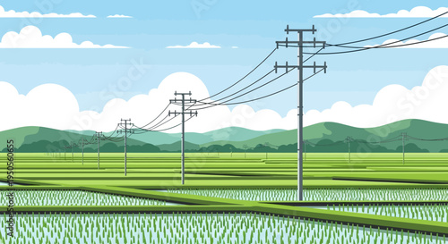 Rural Landscape with Rice Fields and Power Lines Under a Blue Sky