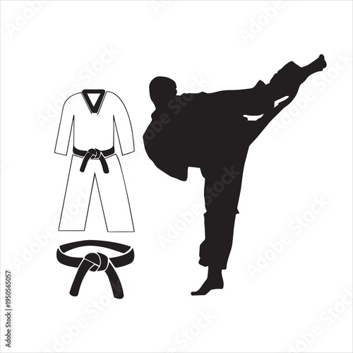 Taekwondo performance and dress 