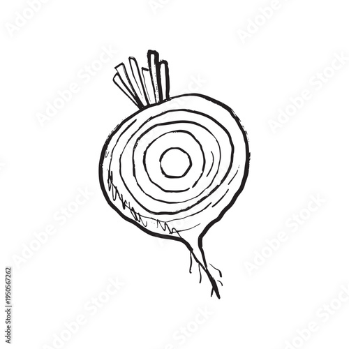 Half sliced beet root vegetable in black brush stroke texture isolated on white. Hand drawn vector sketch illustration in vintage charcoal ink. Soup ingredient, farm label, food, agriculture.