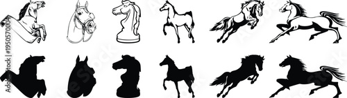 Horse silhouette and sketch pose set for equestrian design. Running, jumping, and standing equine figures create dynamic elements for ranch branding, sports graphics, and nature themed artwork. Bold 