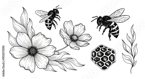 Hand-drawn bees and flowers illustration, honeycomb graphic, vintage botanical sketch