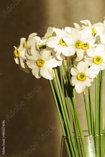 Schilderij op canvas Bouquet of white daffodil flowers arranged in a glass vase on a table