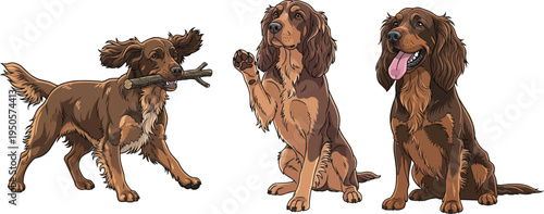 German Spaniel dog fetching stick sitting waving happy smiling pose set