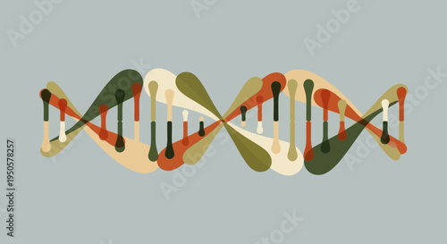 DNA Double Helix Genetic Structure Model.