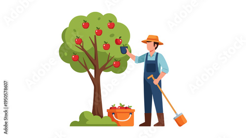 Farmer Picking Apples from Tree.
