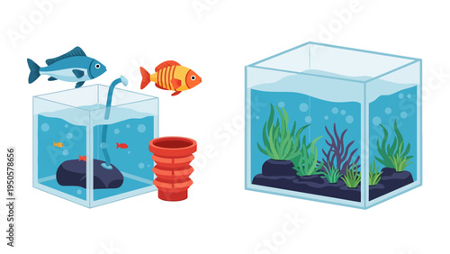 Fish Tanks with Fish.