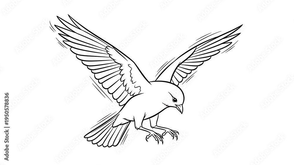 Fototapeta premium Black and white of bird in flight isolated on a transparent background