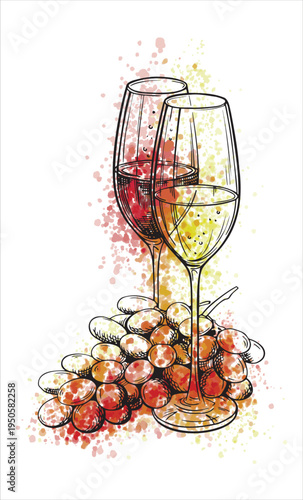 Elegant hand drawn illustration of two wine glasses filled with red and white wine standing above a bunch of ripe grapes. Decorative composition created with ink sketch lines and watercolor splashes.