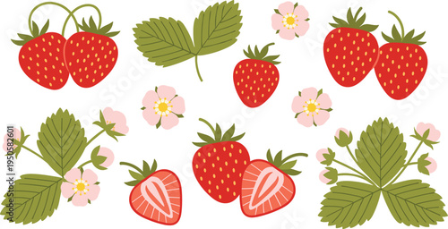 Strawberry fruit set with leaves and flowers. Whole and sliced berries with botanical elements. Fresh summer berry illustration collection for packaging, labels, healthy food design.