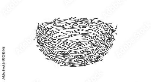 Birds Nest Illustration Drawing.