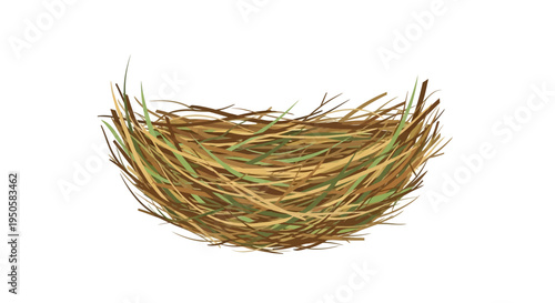 Birds Nest Isolated White.