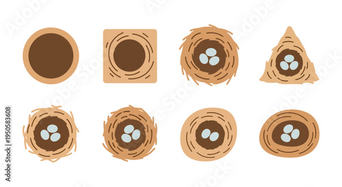 Birds Nests with Eggs.