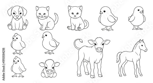 Collection of Farm Animals.