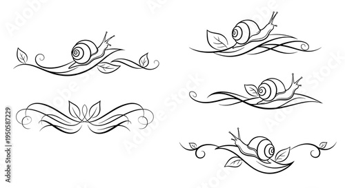 Decorative dividers with snail motifs in floral design